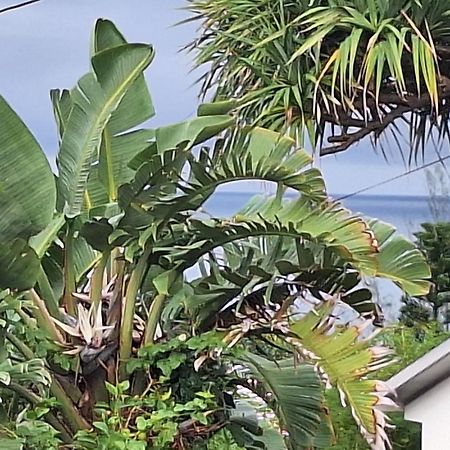 L'Etoile Du Piton Villa แซ็ง-โฌเซฟ ภายนอก รูปภาพ